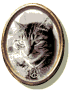  who's that guy ? 6k gif 